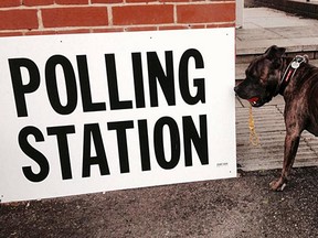 This was one of the many pictures posted Thursday with the hashtag #dogsatpollingstations.
(Photo by Rhiannon Kay/Twitter)
