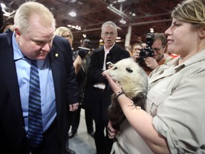 Then-mayor Rob Ford checks out a possum at the Toronto Sportsmen's Show on Thursday, Feb. 7, 2013. (Veronica Henri/Toronto Sun)