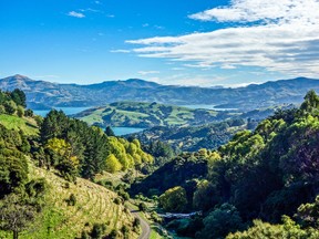 New Zealand landscape. (Fotolia)