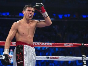 Sergio Martinez in the 9th round of his WBC middleweight title bout against Miguel Cotto at Madison Square Garden in New York June 7, 2014. (REUTERS/Brendan McDermid)