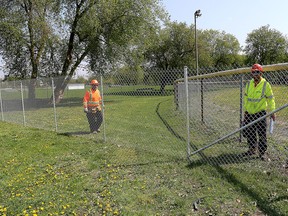 A crew of 11 workers from Lennox Fencing work on a 300-metre long fence around the Optimist softball diamond on Bagot Street on Tuesday. The diamond will most likely be closed for the entire summer season as contaminated soil is removed. (Ian MacAlpine /The Whig-Standard)