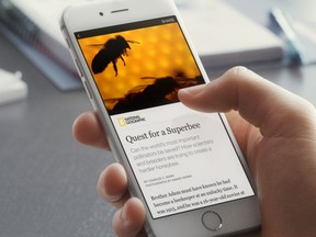 Facebook Instant Article. (Supplied)