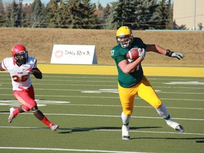 Eskimos second-round pick David Beard is a former defensive lineman turned offensive lineman who is athletic enough to switch to tight end for the Alberta Golden Bears on occasion. (photo courtesy U of A)
