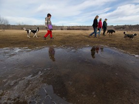 Edmontonians walk their dogs at Terwillegar Park recently. Ian Kucerak/Edmonton Sun