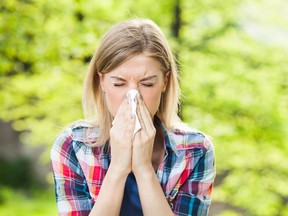 Allergy-preventing nasal spray in the works by Canadian researchers.