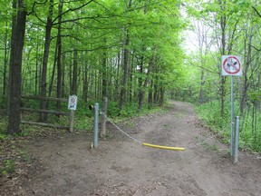 It was on one of these trails at Sheila McKee Park in the city's far west end where a woman in her 30s was badly beaten by an unknown man who took photos of her while she lay unconscious.
DOUG HEMPSTEAD/Ottawa Sun