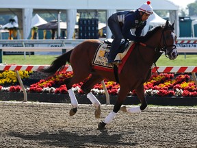 Danzig Moon goes for a run at Pimlico. (USA Today Sports)