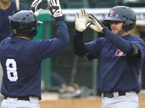 The Goldeyes have good reason to celebrate. (KEVIN KING/Winnipeg Sun files)