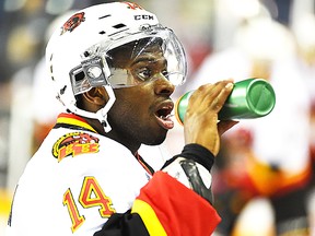 Former Belleville Bulls defenceman Jordan Subban recently inked an entry-level contract with the Vancouver Canucks. (Aaron Bell/OHL Images)