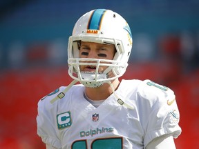 Quarterback Ryan Tannehill #17 of the Miami Dolphins stands on the field before the Dolphins met the New York Jets in a game at Sun Life Stadium on December 28, 2014 in Miami Gardens, Florida. (Chris Trotman/Getty Images/AFP)