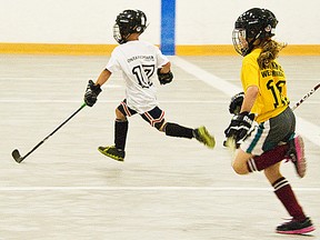 ball-hockey