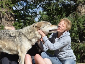 Joanne Richard and her family got to know Micah at the Colorado Wolf and Wildlife Center in Divide. PHOTO COURTESY OF DARLENE KOBOBEL/CWWC