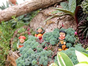 There’s a growing trend to add more fun to the garden.