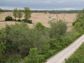 This photo was shot from County Road 18 in Cainsville, looking east, above the former Toronto, Hamilton & Buffalo Railway line which is now a rail trail. The OFA says the provincial government is failing to protect the rights of owners of private land adjacent to trails. (BRIAN THOMPSON / The Expositor)