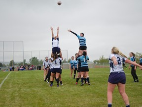 The senior varsity girls Hawks rugby team beat the Cardston Cougars on home turf 17 - 7 during their last home match of the regular season on May 14, 2015. A Cardston player throws in the ball during a line-out. John Stoesser photos/Pincher Creek Echo.