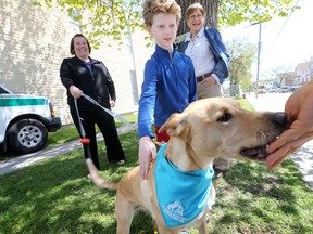 Jacob pets Abbey while Jill Bristow (left), and Val Poulton look on during National Dog Bite Prevention week.