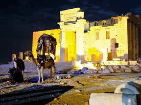 Camels are seen in front of the Temple of Bel at the historical city of Palmyra Oct. 22, 2010. Islamic State seized full control of the historic city of Palmyra in central Syria on May 21, 2015, just days after it captured a provincial capital in neighbouring Iraq, suggesting momentum is building for the ultra-hardline group. REUTERS/Omar Sanadiki