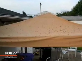 A tent splattered with feces after at a Pennsylvania girl's sweet 16 birthday party. (YouTube)