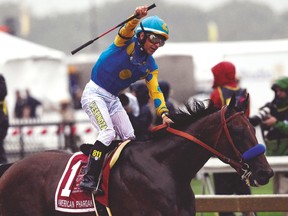 Victor Espinoza celebrates on board American Pharoah after winning the 140th Preakness Stakes last week. (USA TODAY SPORTS)