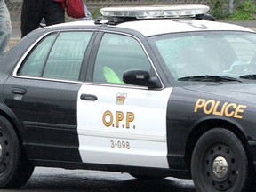 OPP cruiser. (File photo)