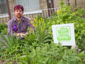 Narcise Datura, seen standing in his boulevard garden at his King St. home in London, is a founding member of Food Not Lawns, an organization that will turn boulevards into edible gardens Saturday. (CRAIG GLOVER, The London Free Press)
