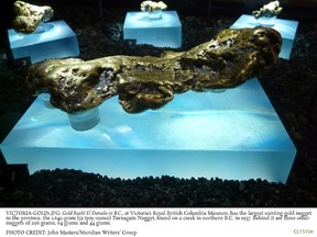 Gold Rush! El Dorado at Victoria’s Royal BC Museum, has the largest gold nugget found in the province, the 1,642-gram (52 troy-ounce) Turnagain Nugget. JOHN MASTERS/MERIDIAN WRITERS' GROUP