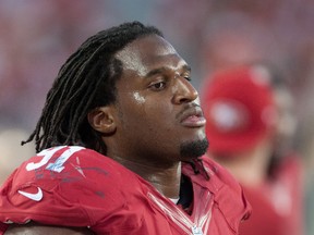 San Francisco 49ers defensive end Ray McDonald (91) looks on during the second quarter of the game against the Chicago Bears at Levi's Stadium. (Ed Szczepanski-USA TODAY Sports)