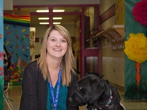 Sage therapy dog