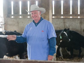 Dr. Don Hoglund teaches farmers a better way to herd and move animals. He was photographed in London on Wednesday. Derek Ruttan/The London Free Press/Postmedia Network