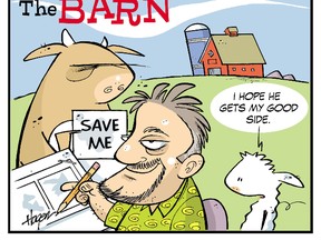 A caricature of Ralph Hagen with Stan and Rory of his successful comic, The Barn. - Image Supplied