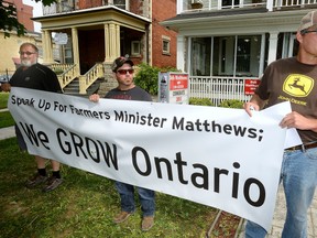 Grain farmers Keith Black from Belgrave, Moe Chauvin, from Stoney Point, and David Whaley, from Wheatley, hold a banner in front of MP Deb Matthews office in London Friday, protesting Ontario?s plans to regulate the use of neonicotinoid seed treatments. (MORRIS LAMONT, The London Free Press)