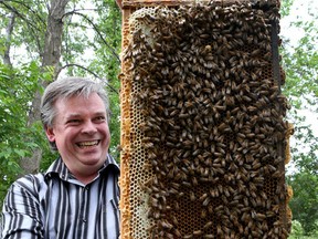 Graeme Peterson works with a bee hive near Richmond Road in Ottawa Ont. Friday May 29, 2015. Graeme is a member of the Ottawa Community Bee Keepers who are trying to increase the number of bees in the city of Ottawa.   
Tony Caldwell/Ottawa Sun/Postmedia Network