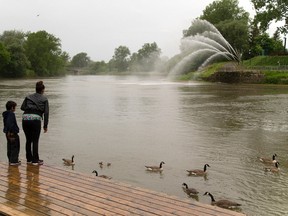 Londoners can weigh in on the London Community Foundation?s contest to reshape the Forks of the Thames, where Jasmine Bressette and son Hunter, 7, were feeding the birds Sunday, at a series of public meetings starting Tuesday. (MIKE HENSEN, The London Free Press)