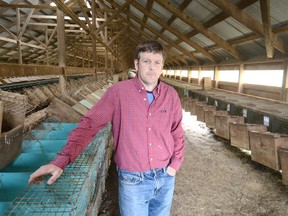 St. Marys-area mink farmer Jeff Richardson had his business vandalized, with about 1,500 nursing minks released from their cages. (SCOTT WISHART/The Beacon Herald)
