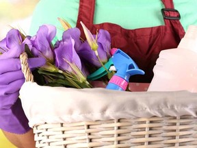 A woman holding a basket full of cleaning supplies. 

(Fotolia)