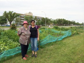 Iris Kozarchuk, left, and Coun. Jenny Gerbasi at the Grant Avenue community gardens in 2014.