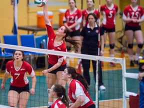 Grande Prairie faces Red Deer in ACAC volleyball action (Supplied photo).