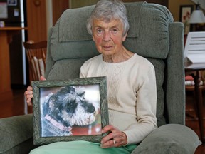 Sarah Hyatt/The Intelligencer
Doreen Moher displays a picture of Tina, her dog that died recently as a result of a attack by another dog on May 20. Tina was killed by dog off of its leash and Moher is hoping others can reconsider before letting their dogs roam free.