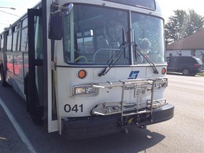 sarnia transit bus