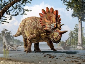 An artistic life reconstruction of a new horned dinosaur scientists named Regaliceratops peterhewsi in the paleoenvironment of the Late Cretaceous of Alberta, Canada released on June 3, 2015. Scientists had a heck of a time getting the remarkable fossil of the dinosaur they dubbed "Hellboy" out of the hard limestone along a Canadian river bank where it was entombed for 68 million years, but the diabolic task proved gratifying.  REUTERS/Julius T. Csotonyi/Royal Tyrrell Museum, Drumheller, Alberta/Handout via Reuters