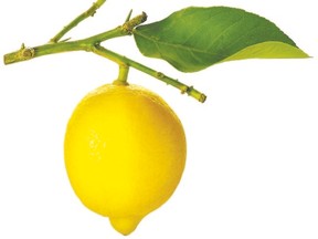 lemon