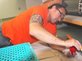 Volunteer Jeremy Fyfe, from Home Depot, paints a wall at the Food Sharing Project during the annual United Way Day of Caring in Kingston, Ont. on Fri., June 5, 2015. About 200 volunteers from 29 workplaces helped out at 25 agencies. Michael Lea/The Whig-Standard/Postmedia Network