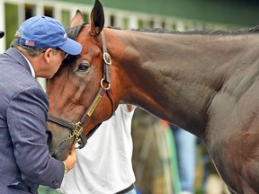 Owner Ahmed Zayat plants a kiss on his star horse, American Pharoah, following yesterday’s workout at Belmont Park. Zayat said there will be no complaints from him should a more well-rested horse win today’s Belmont Stakes. (AFP)