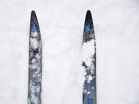 cross-country skis