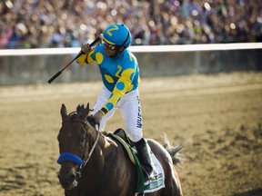 Jockey Victor Espinoza, aboard American Pharoah, celebrates after winning the 147th running of the Belmont Stakes as well as the Triple Crown, in Elmont, New York June 6, 2015. (REUTERS/Lucas Jackson)