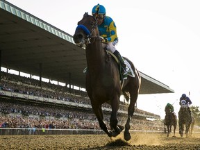 American Pharoah, with jockey Victor Espinoza aboard, became the first horse in 37 years to claim U.S. racing’s Triple Crown. (LUCAS JACKSON/Reuters)