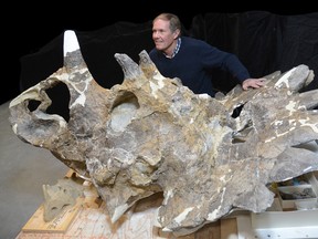 A new species of horned dinosaur, nicknamed “Hellboy”, has been unveiled at the Royal Tyrrell Museum.

Photo Courtesy Royal Tyrrell Museum