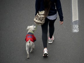 A woman walks with her dog along a bike path. AFP/Eitan Abramovich