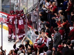 Members of the Arizona Coyotes and fans celebrate after a goal by Sam Gagner (9) during the first period against the Toronto Maple Leafs at Gila River Arena. (Matt Kartozian/USA TODAY Sports)