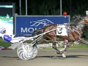 Artspeak, here winning the Metro Pace last year, is the star of the show at this Saturday’s North America Cup eliminations at Mohawk, racing in the third heat, which will be the eighth race of the night. Artspeak is the most recent winner of both the O’Brien Award and the Dan Patch Awards. (CLIVE COHEN, New Image Media)